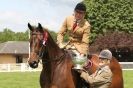 Image 45 in SOME EQUINE PICTURES FROM 2013 ROYAL NORFOLK SHOW