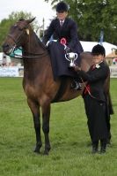 Image 46 in SOME EQUINE PICTURES FROM 2013 ROYAL NORFOLK SHOW