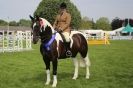 Image 9 in SOME EQUINE PICTURES FROM 2013 ROYAL NORFOLK SHOW