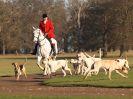 Image 3 in WEST NORFOLK FOX HOUNDS. HOLKHAM HALL. 22 DEC 2016.