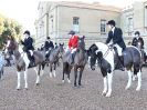 Image 38 in WEST NORFOLK FOX HOUNDS. HOLKHAM HALL. 22 DEC 2016.