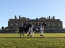 Image 42 in WEST NORFOLK FOX HOUNDS. HOLKHAM HALL. 22 DEC 2016.