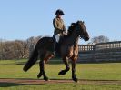 Image 44 in WEST NORFOLK FOX HOUNDS. HOLKHAM HALL. 22 DEC 2016.