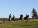 Image 45 in WEST NORFOLK FOX HOUNDS. HOLKHAM HALL. 22 DEC 2016.