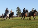 Image 47 in WEST NORFOLK FOX HOUNDS. HOLKHAM HALL. 22 DEC 2016.