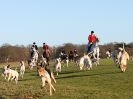 Image 5 in WEST NORFOLK FOX HOUNDS. HOLKHAM HALL. 22 DEC 2016.