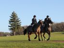 Image 50 in WEST NORFOLK FOX HOUNDS. HOLKHAM HALL. 22 DEC 2016.