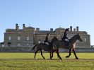 Image 51 in WEST NORFOLK FOX HOUNDS. HOLKHAM HALL. 22 DEC 2016.