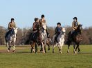 Image 52 in WEST NORFOLK FOX HOUNDS. HOLKHAM HALL. 22 DEC 2016.