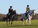 Image 58 in WEST NORFOLK FOX HOUNDS. HOLKHAM HALL. 22 DEC 2016.