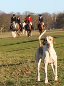 Image 8 in WEST NORFOLK FOX HOUNDS. HOLKHAM HALL. 22 DEC 2016.