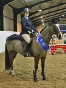 Image 141 in CHARITY CROSS POLE. SHOWJUMPING. BROADS. 8 JAN. 2017.