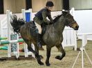 Image 172 in CHARITY CROSS POLE. SHOWJUMPING. BROADS. 8 JAN. 2017.