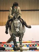 Image 175 in CHARITY CROSS POLE. SHOWJUMPING. BROADS. 8 JAN. 2017.