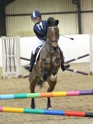 Image 19 in CHARITY CROSS POLE. SHOWJUMPING. BROADS. 8 JAN. 2017.