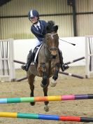 Image 20 in CHARITY CROSS POLE. SHOWJUMPING. BROADS. 8 JAN. 2017.