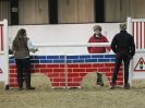 Image 201 in CHARITY CROSS POLE. SHOWJUMPING. BROADS. 8 JAN. 2017.