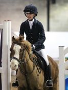 Image 65 in CHARITY CROSS POLE. SHOWJUMPING. BROADS. 8 JAN. 2017.