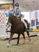 Image 74 in CHARITY CROSS POLE. SHOWJUMPING. BROADS. 8 JAN. 2017.