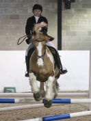 Image 79 in CHARITY CROSS POLE. SHOWJUMPING. BROADS. 8 JAN. 2017.