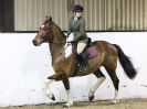 Image 91 in CHARITY CROSS POLE. SHOWJUMPING. BROADS. 8 JAN. 2017.