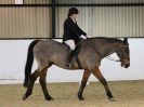 Image 124 in HALESWORTH AND DISTRICT RC. ( HOSTING AREA 14 ) DRESSAGE. PRELIM 2. NOVICE 27. PRELIM 7.NOVICE 30. NOVICE 34. ELEMENTARY 49. PRELIM 7 SENIORS. NOVICE 30 SENIORS. NO FURTHER CLASSES COVERED.