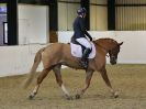 Image 169 in HALESWORTH AND DISTRICT RC. ( HOSTING AREA 14 ) DRESSAGE. PRELIM 2. NOVICE 27. PRELIM 7.NOVICE 30. NOVICE 34. ELEMENTARY 49. PRELIM 7 SENIORS. NOVICE 30 SENIORS. NO FURTHER CLASSES COVERED.