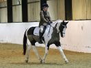 Image 198 in HALESWORTH AND DISTRICT RC. ( HOSTING AREA 14 ) DRESSAGE. PRELIM 2. NOVICE 27. PRELIM 7.NOVICE 30. NOVICE 34. ELEMENTARY 49. PRELIM 7 SENIORS. NOVICE 30 SENIORS. NO FURTHER CLASSES COVERED.