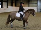 Image 22 in HALESWORTH AND DISTRICT RC. ( HOSTING AREA 14 ) DRESSAGE. PRELIM 2. NOVICE 27. PRELIM 7.NOVICE 30. NOVICE 34. ELEMENTARY 49. PRELIM 7 SENIORS. NOVICE 30 SENIORS. NO FURTHER CLASSES COVERED.