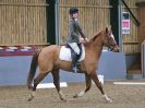 Image 14 in BECCLES AND BUNGAY RIDING CLUB. DRESSAGE. 15 JAN. 2017