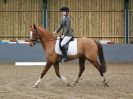 Image 15 in BECCLES AND BUNGAY RIDING CLUB. DRESSAGE. 15 JAN. 2017