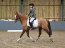 Image 15 in BECCLES AND BUNGAY RIDING CLUB. DRESSAGE. 15 JAN. 2017