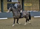 Image 36 in BECCLES AND BUNGAY RIDING CLUB. DRESSAGE. 15 JAN. 2017