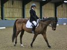 Image 43 in BECCLES AND BUNGAY RIDING CLUB. DRESSAGE. 15 JAN. 2017