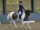 Image 49 in BECCLES AND BUNGAY RIDING CLUB. DRESSAGE. 15 JAN. 2017