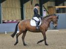 Image 54 in BECCLES AND BUNGAY RIDING CLUB. DRESSAGE. 15 JAN. 2017