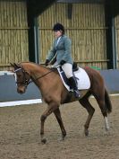 Image 61 in BECCLES AND BUNGAY RIDING CLUB. DRESSAGE. 15 JAN. 2017