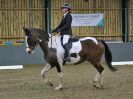 Image 72 in BECCLES AND BUNGAY RIDING CLUB. DRESSAGE. 15 JAN. 2017