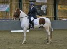 Image 82 in BECCLES AND BUNGAY RIDING CLUB. DRESSAGE. 15 JAN. 2017
