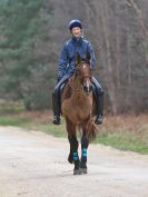 Image 1 in RENDLESHAM FOREST PLEASURE RIDE. 19 MARCH 2017