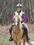 Image 13 in RENDLESHAM FOREST PLEASURE RIDE. 19 MARCH 2017