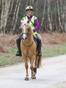 Image 14 in RENDLESHAM FOREST PLEASURE RIDE. 19 MARCH 2017