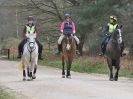 Image 23 in RENDLESHAM FOREST PLEASURE RIDE. 19 MARCH 2017