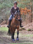 Image 47 in RENDLESHAM FOREST PLEASURE RIDE. 19 MARCH 2017