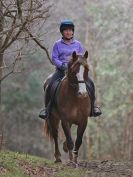 Image 49 in RENDLESHAM FOREST PLEASURE RIDE. 19 MARCH 2017