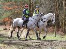 Image 52 in RENDLESHAM FOREST PLEASURE RIDE. 19 MARCH 2017