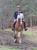 Image 56 in RENDLESHAM FOREST PLEASURE RIDE. 19 MARCH 2017