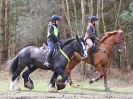 Image 60 in RENDLESHAM FOREST PLEASURE RIDE. 19 MARCH 2017