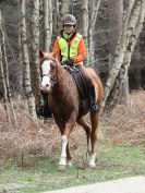 Image 9 in RENDLESHAM FOREST PLEASURE RIDE. 19 MARCH 2017