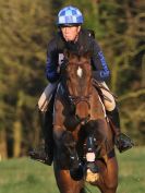 Image 31 in GT. WITCHINGHAM HORSE TRIALS. FRIDAY 24 MARCH 2017